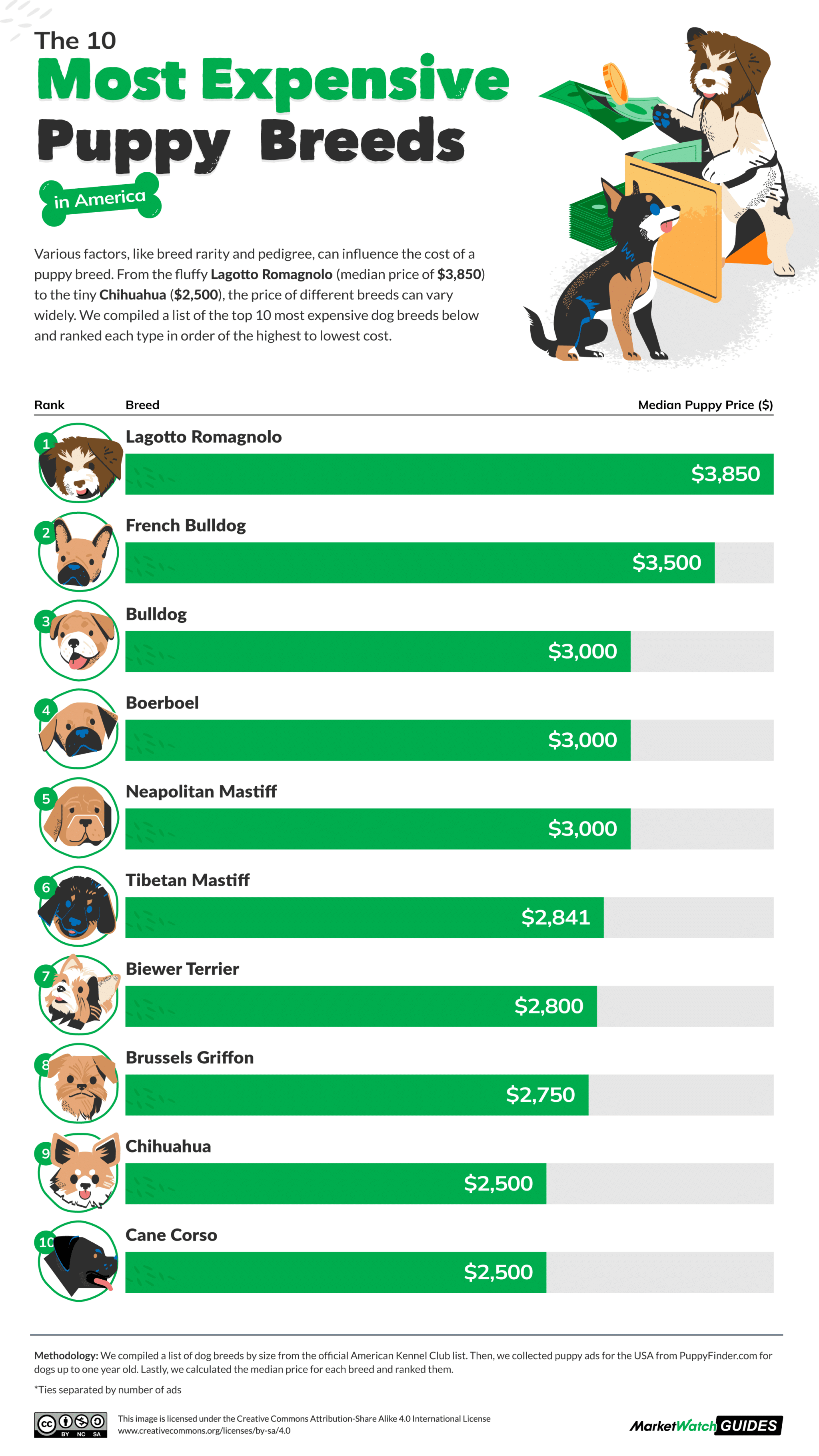 The Most and Least Expensive Puppy Breeds