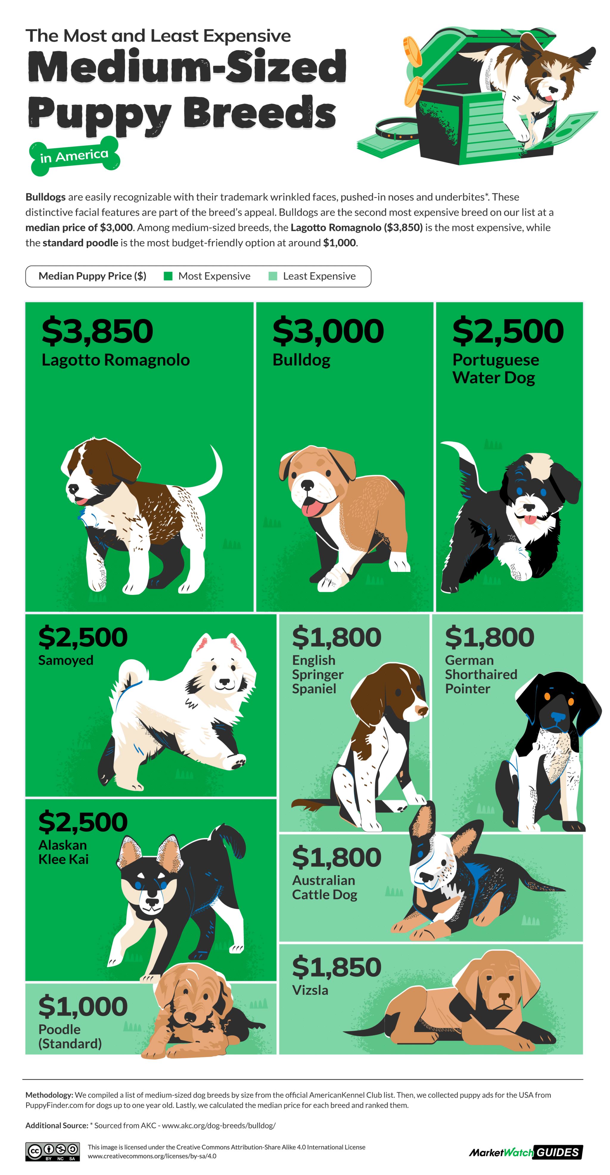 The Most and Least Expensive Puppy Breeds